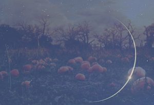 samhain new moon ritual 2016