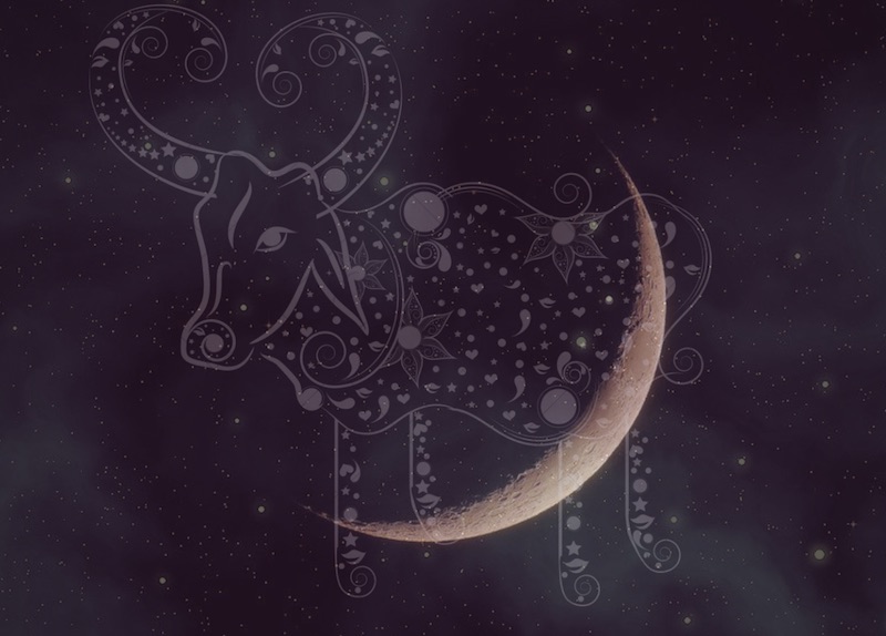 may new moon astrology 2018
