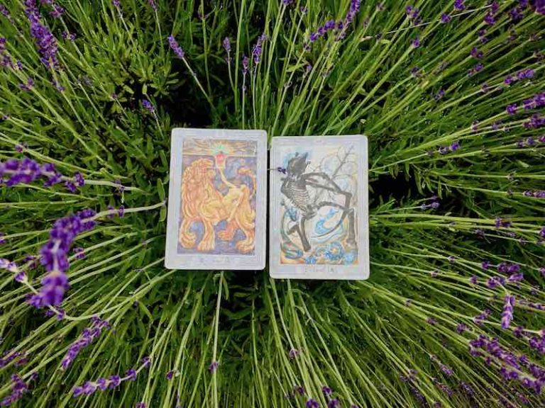 Nikki’s Weekly Tarot Reading: June 11-17, 2018