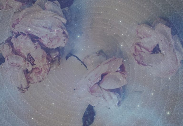My Journey Through the Many Layers of Grief