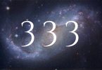 numerology 333