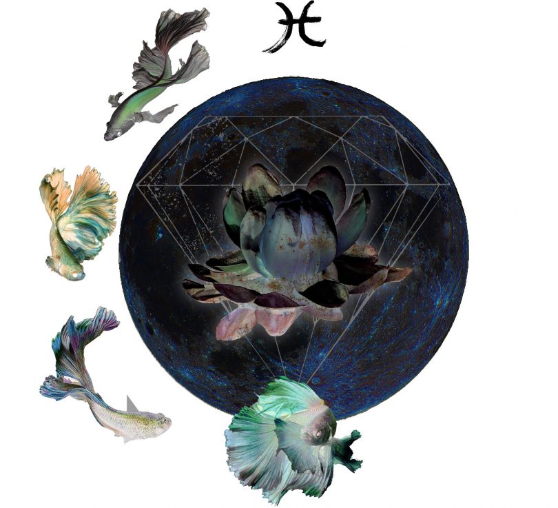 march new moon astrology