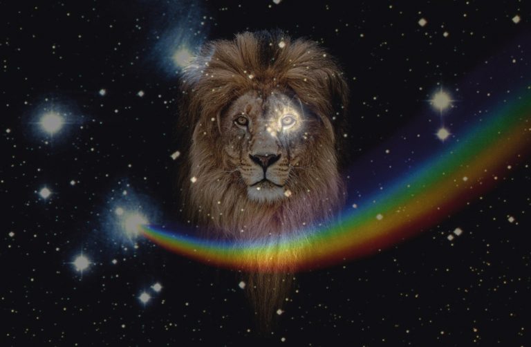 The Lionsgate Portal 2019