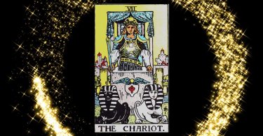 understanding chariot tarot