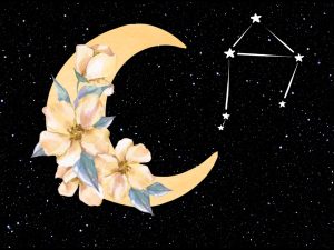 Libra new moon astrology October 2020