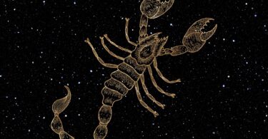scorpio season horoscopes october november 2023