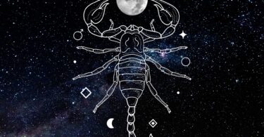 scorpio new moon astrology november