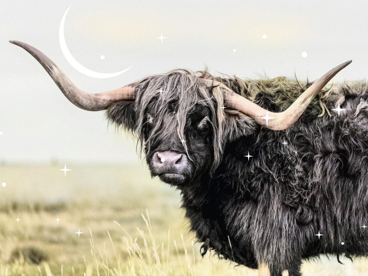 Intuitive Astrology Taurus New Moon May 2024 Forever Conscious