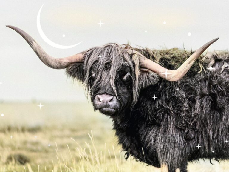 Intuitive Astrology: Taurus New Moon May 2024