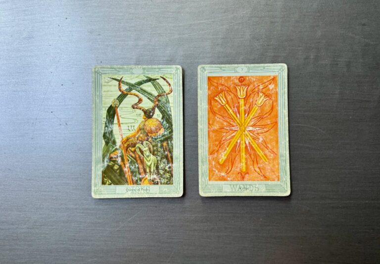 Nikki’s Weekly Tarot Reading: July 29-August 4, 2024