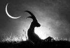 capricorn black moon astrology 2024