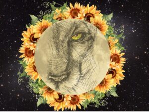 leo full moon ritual 2025