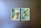 Weekly Reading