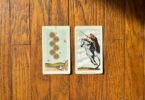 Weekly Tarot