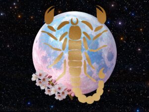 scorpio full moon astrology 2026