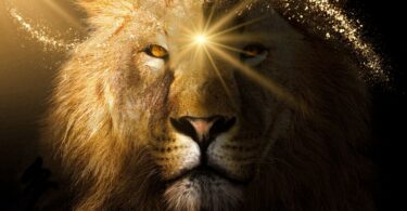 leo solar eclipse ritual