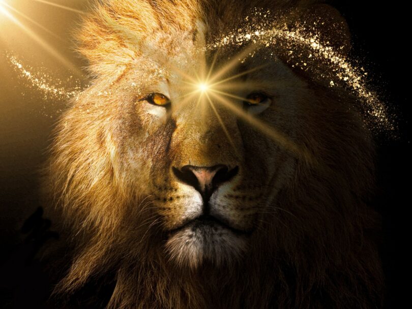 leo solar eclipse ritual