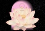venus retrograde 2026