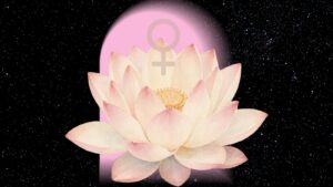 venus retrograde 2026