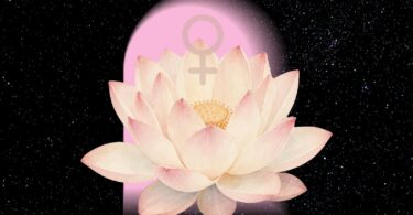 venus retrograde 2026