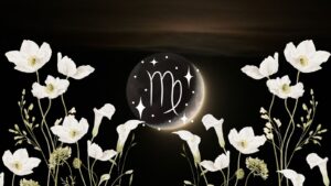 virgo new moon ritual 2027