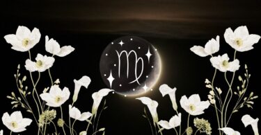 virgo new moon ritual 2027