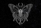 november astrology 2026